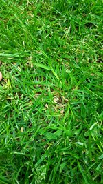 IMG_20250529_201010_603.jpg
