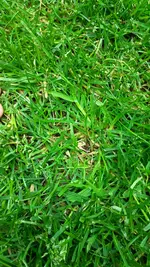 IMG_20250529_201010_603.webp