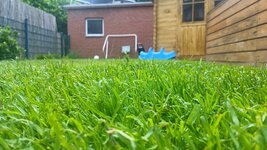 IMG_20250530_093433_798.jpg