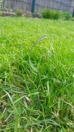 IMG_20250530_093529_107.jpg