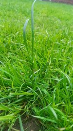 IMG_20250530_093539_268.jpg
