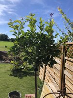 IMG_1272.jpeg