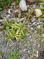 IMG_0978.jpeg