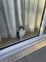 IMG_0981.jpeg