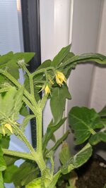 IMG_20250530_211025.jpg
