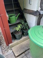 IMG_0319.JPEG