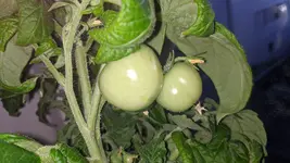 IMG_20250530_213405.webp