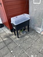 IMG_0321.JPEG