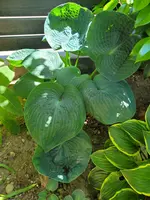 20250530_144805.webp