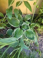 20250530_145107.jpg