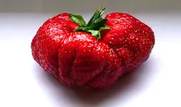 25sw02.webp