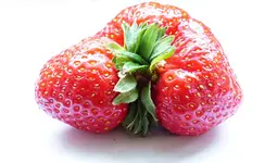 25sw03.webp