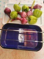 IMG_20250530_173224.jpg