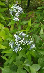 IMG_20250531_150141.webp