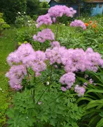 IMG_20250531_152759.webp