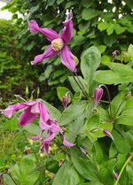 IMG_20250531_150216.jpg