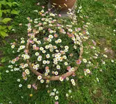 IMG_20250531_150024.webp