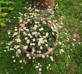 IMG_20250531_150024.jpg