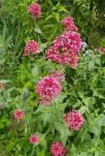 IMG_20250531_150133.webp