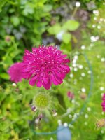 IMG_20250531_150116.jpg