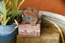 DSC01057.JPG