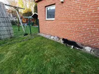 IMG-20250531-WA0007.webp