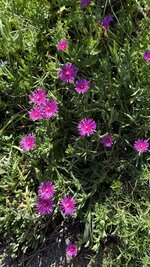 IMG_4532.jpeg