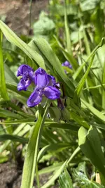 IMG_4542.webp