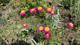 IMG_4543.jpeg