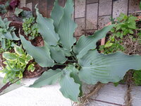 DSC01449.JPG