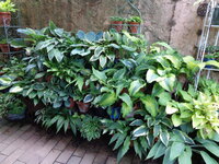 DSC01450.JPG