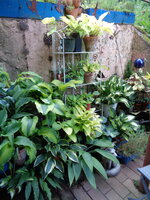 DSC01451.JPG
