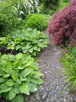 IMG_20250601_081551.jpg