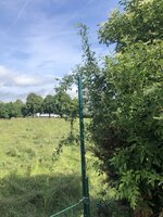 IMG_1354.jpeg