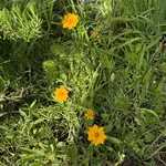 IMG_4552.webp