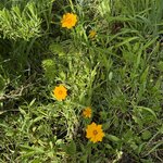 IMG_4552.jpeg
