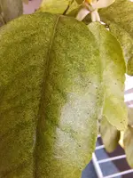 20250601_122108.webp