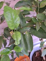 20250601_122047.jpg