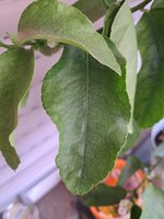 20250601_122030.jpg
