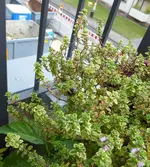 01.webp