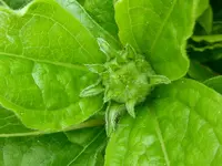 04.webp