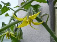 03.webp