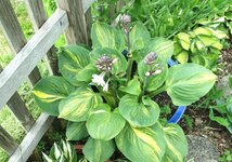 DSC01081.JPG