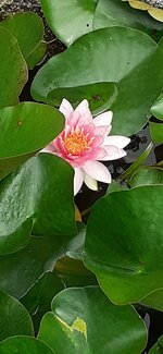20250601_163030.jpg