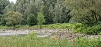 IMG-20250601-WA0004.webp