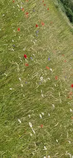 IMG-20250601-WA0008.webp