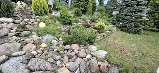 20250601_174419.webp