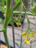 20250601_182713.jpg