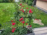 20250601_182018.webp