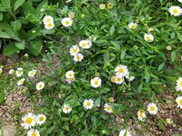 IMG_20250601_145514.jpg